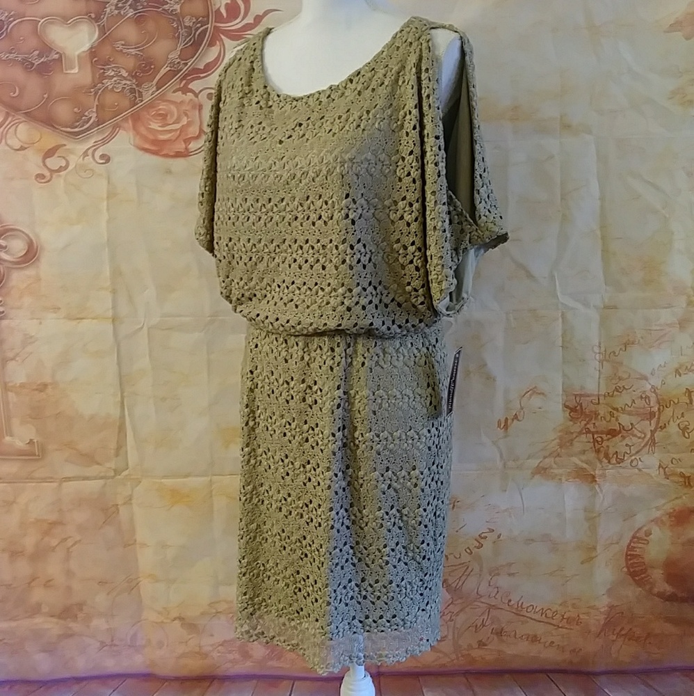 Jessica Howard open shoulder lace dress 10p
